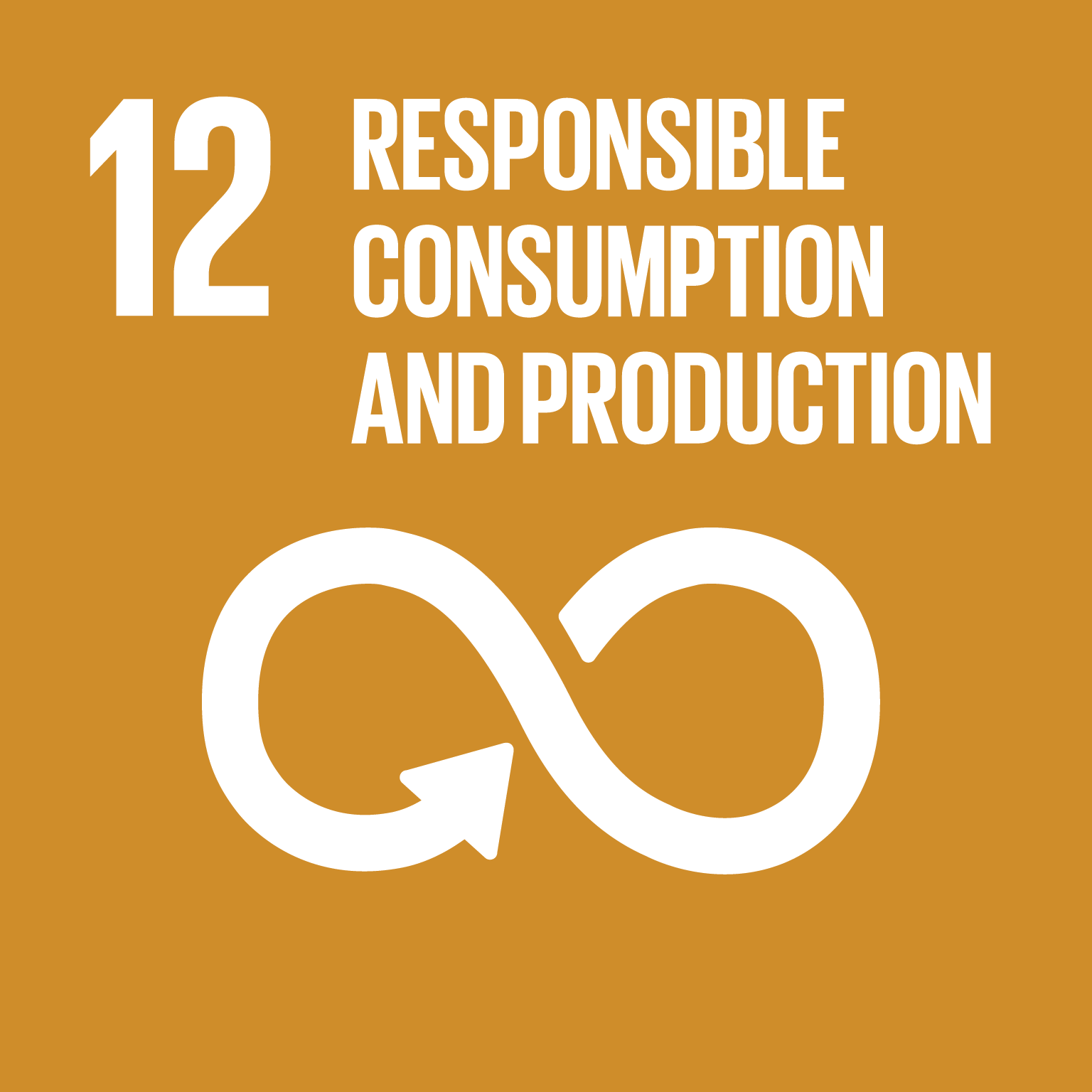 Responsible Consumption and Production - Ensure sustainable consumption and production patterns