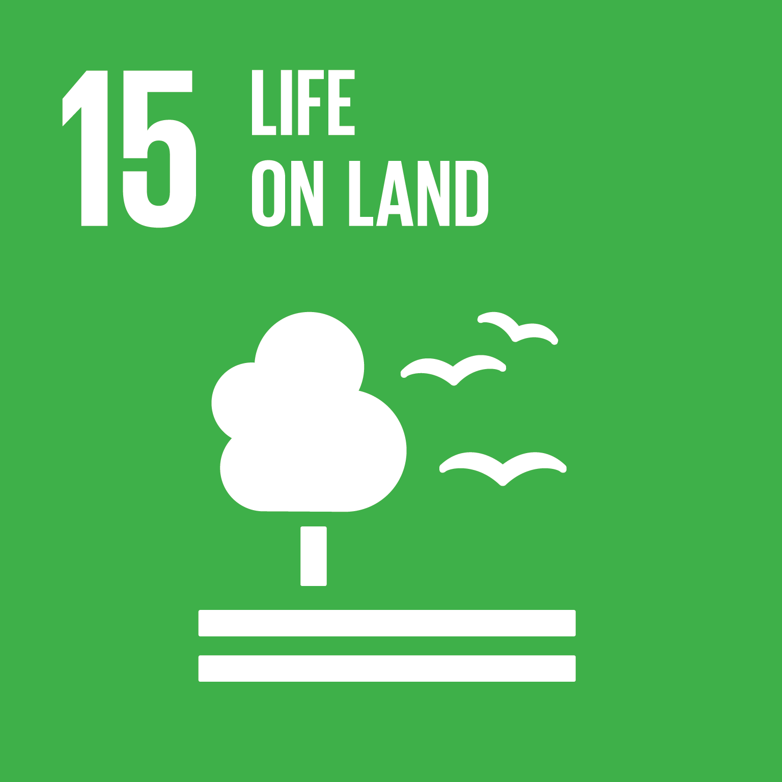 Life on Land - Sustainably manage forests, combat desertification, halt and reverse land degradation, halt biodiversity loss